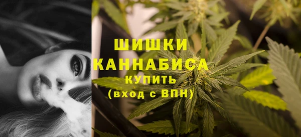 твердый Снежногорск