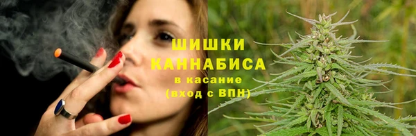 стаф Белокуриха