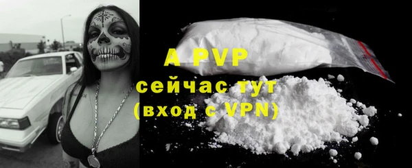 дживик Беломорск