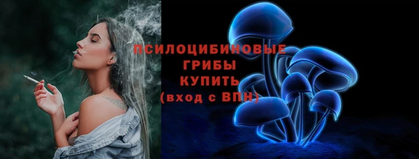 стаф Белокуриха