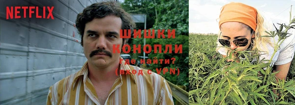стаф Белокуриха