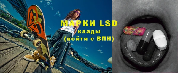 стаф Белокуриха