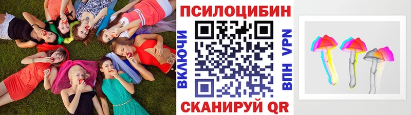 Галлюциногенные грибы мухоморы  купить наркотики сайты  Светлый 