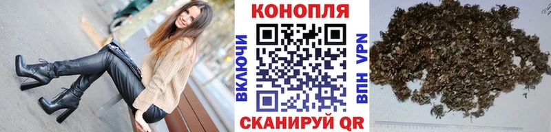 Канабис план  Светлый 